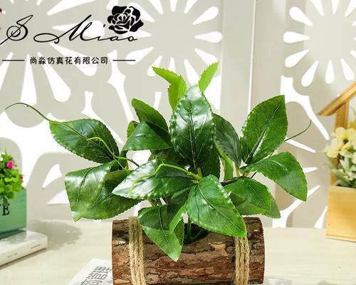 创意盆栽小盆栽如何制作？有哪些技巧？