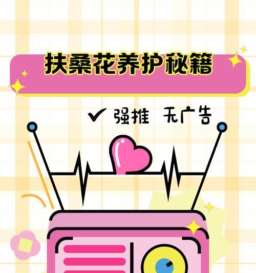 扶桑花如何养殖？需要注意哪些事项？