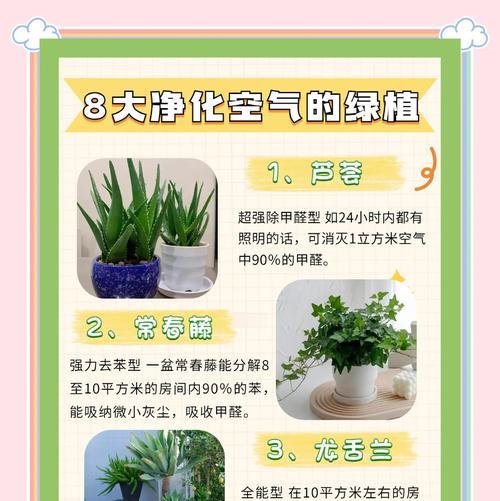 绿植养护技巧：让你的家更绿意盎然？