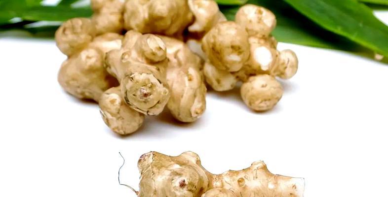 洋姜种植时间与高效栽培策略全解析？