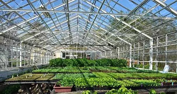 春季种植详解：策略与科技并重？