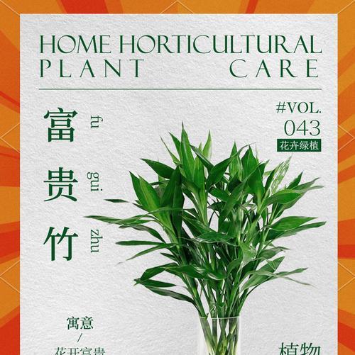 绿植养护全指南：45种花卉的详细攻略？
