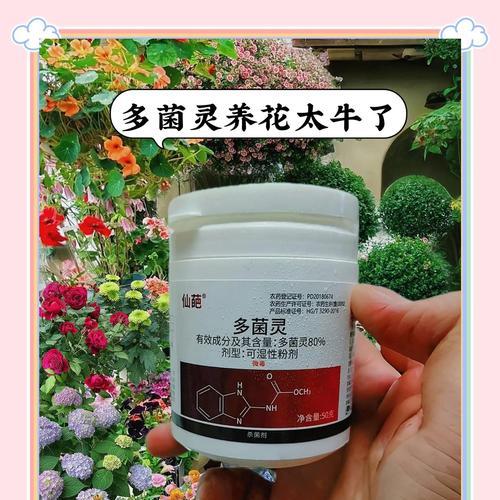 绿植养护全指南：45种花卉的详细攻略？