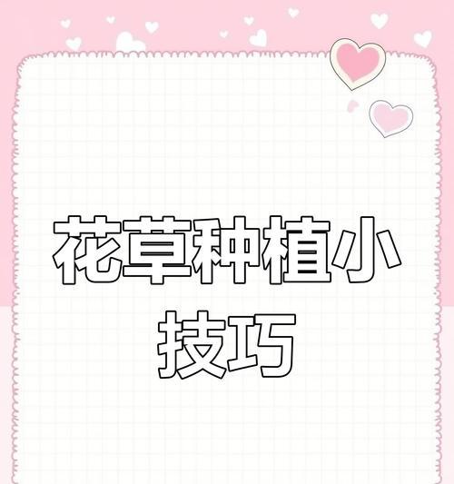 绿植养护全指南：45种花卉的详细攻略？