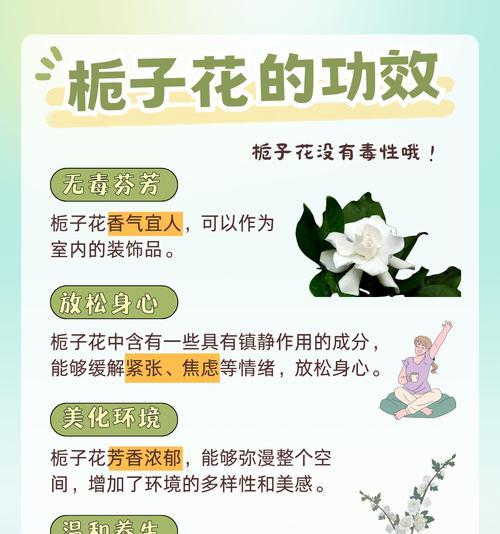 3、5月，栀子花要“虐养”，牢记“4句口诀”，花朵又白又香？