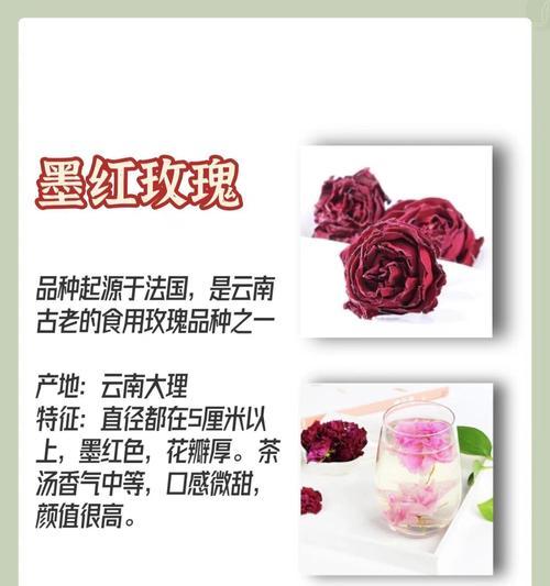 哪种食用玫瑰花品种产量高？