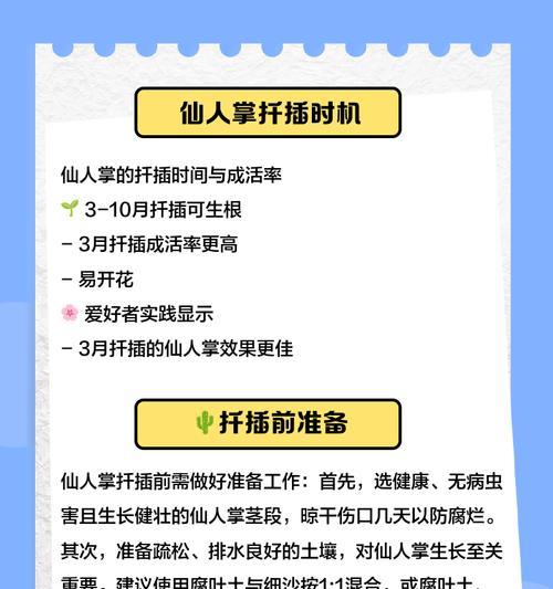夏天扦插仙人球的正确养护方法是什么？