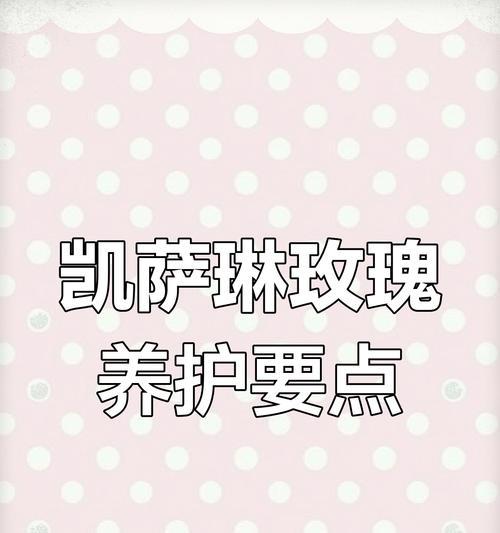 玫瑰花凯特琳的养殖技巧是什么？