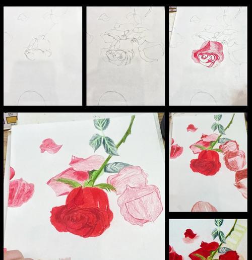 如何用铅笔削制作玫瑰花？