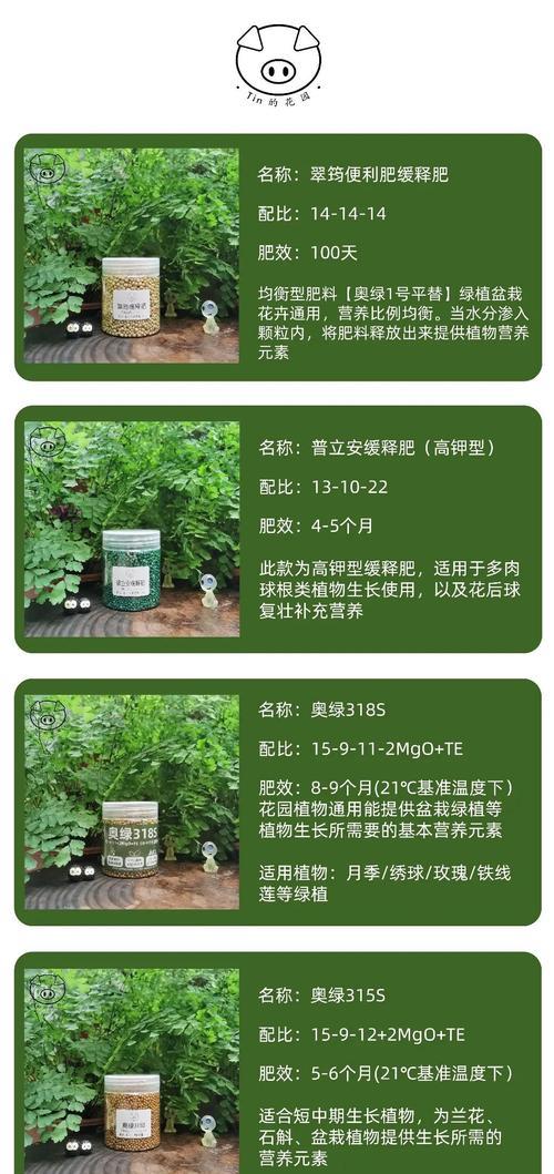 白檀仙人掌肥料的正确使用方法是什么？