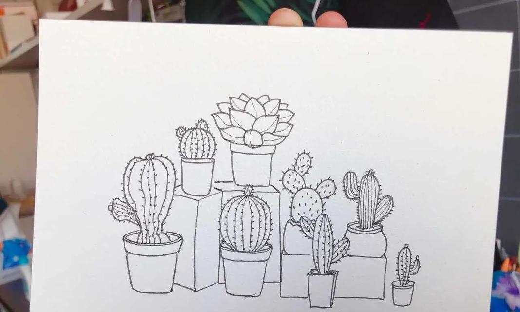 如何制作简单的植物卡仙人掌？