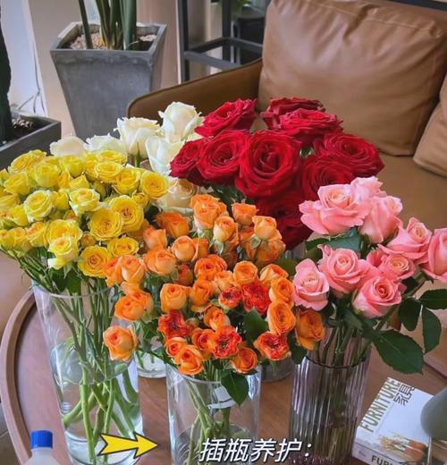 玫瑰花抹芽头的最佳时机和方法是什么？