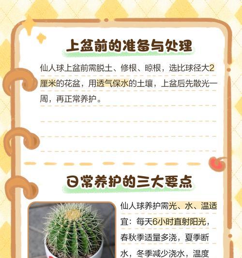无刺仙人球大花品种的养护要点是什么？