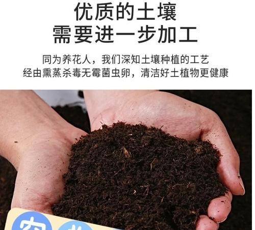 泥炭土作为君子兰专用土壤有何特点？