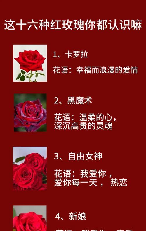哪些玫瑰花品种具有攀藤特性？