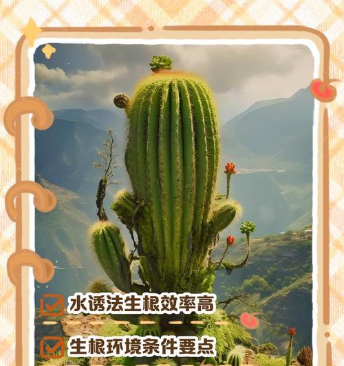 仙人掌快速养殖方法有哪些？