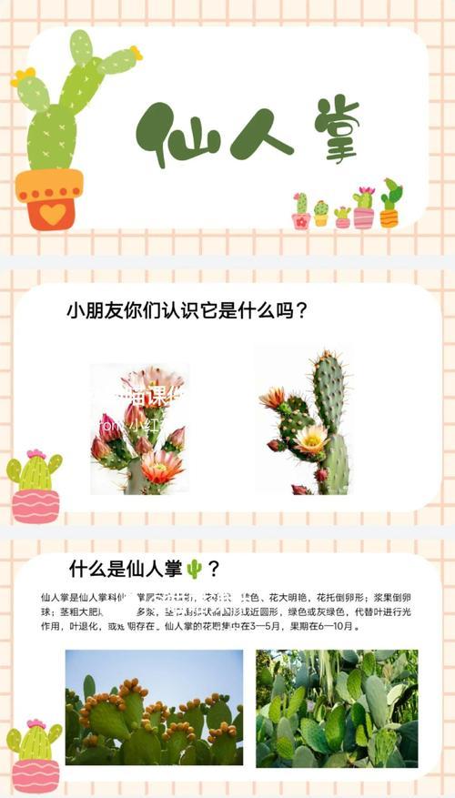 十二月仙人掌的养殖注意事项？