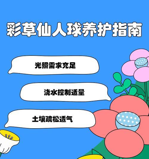 仙人球彩草的繁殖技巧有哪些？