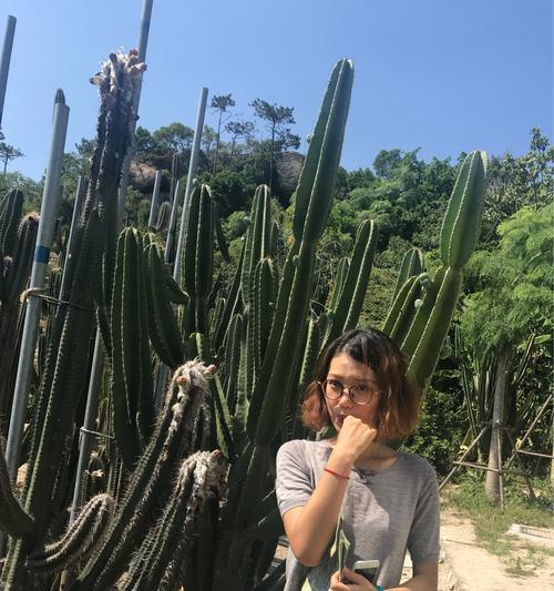 仙人掌扎手后手指头蔫了怎么办？