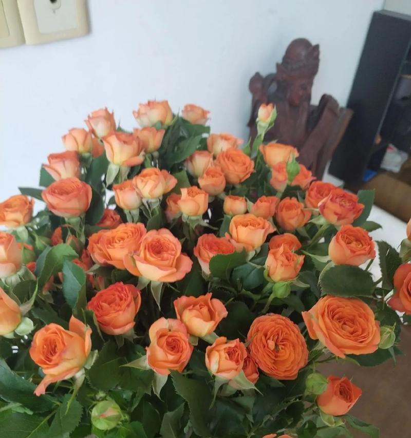云舍花卉插花玫瑰花的醒花方法是什么？