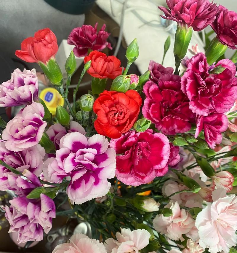 云舍花卉插花玫瑰花的醒花方法是什么？