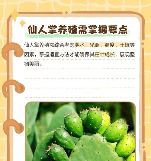 仙人掌发芽的条件和养护方法是什么？
