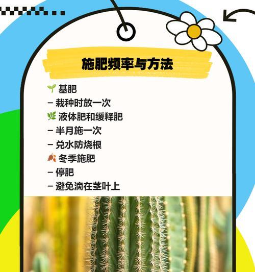仙人掌发芽的条件和养护方法是什么？