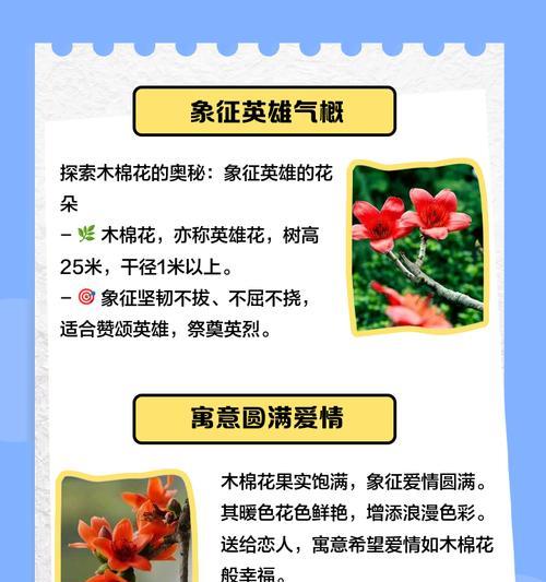 一个冬天的花语是什么？如何用花语表达冬季情感？
