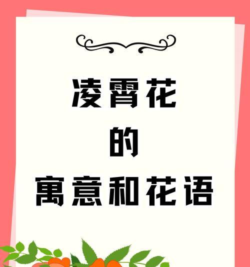 灵凌霄花如何种植？它的花语和寓意是什么？