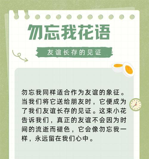 勿忘我花的花语是什么？它象征着怎样的情感？