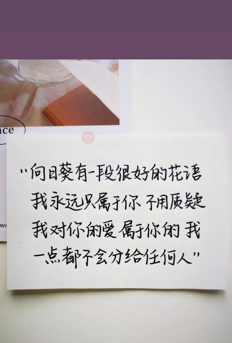 哪些花的花语与向日葵相近？