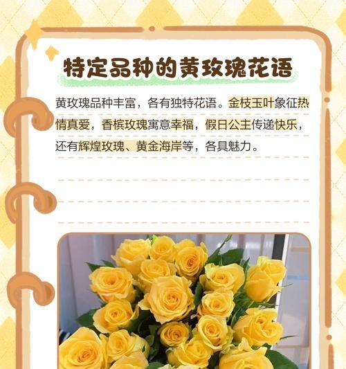 玫瑰花的花语有哪些？如何解析玫瑰花的花语？