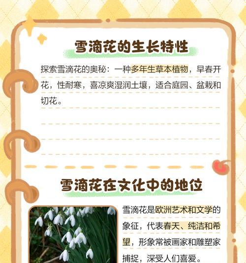 雪滴花的花语代表勇气吗？雪滴花的寓意是什么？