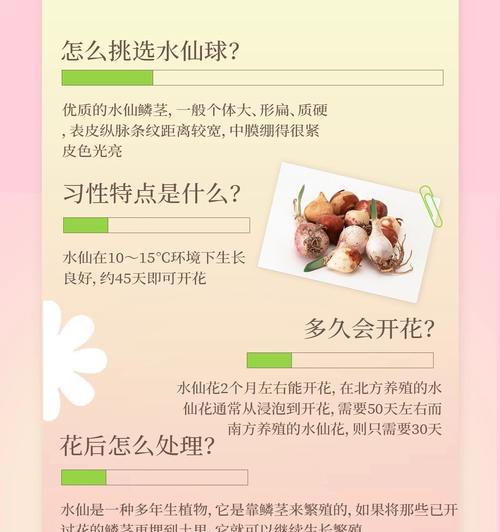 水仙花的花语是什么？水仙花更爱自己有何含义？