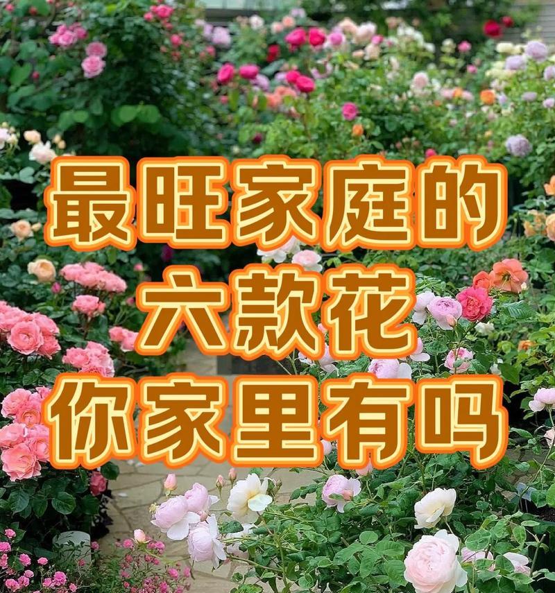 宝宝养植物有什么花语？养植物对宝宝有何意义？