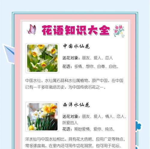水培植物的吉祥如意花语是什么？