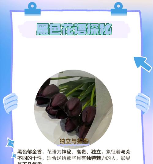 喜欢的人送花有什么花语？花语代表了什么情感？