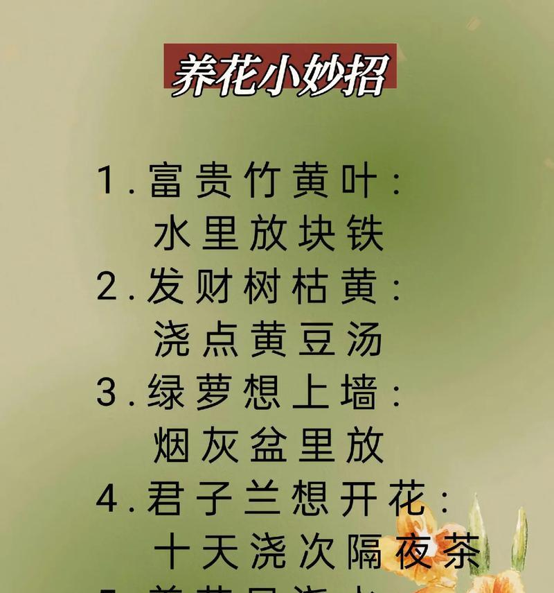 养花时了解花语重要吗？花语对养花有何帮助？