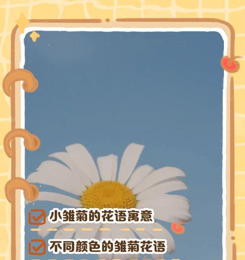小雏菊送给老师有什么花语？小雏菊代表了什么意义？