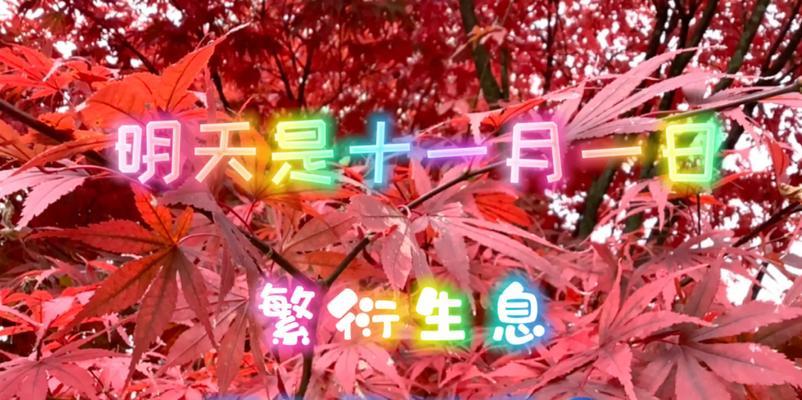 蓝星球花语和寓意是什么？蓝星球花象征着什么？