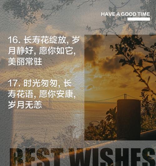 喜欢长寿花的花语是什么？长寿花代表了什么？