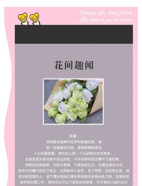 白橘梗花语的意思有何深意？