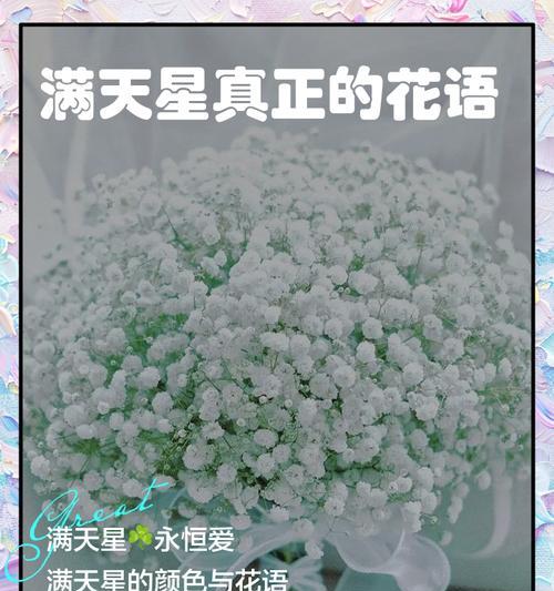 对应满天星的花语有何深意？