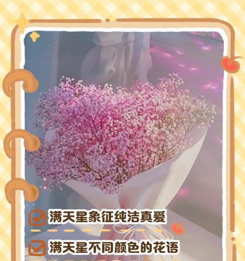 对应满天星的花语有何深意？