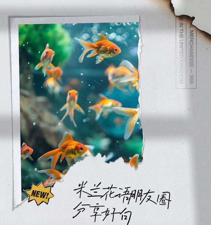 米兰花的花语有哪些？米兰花象征着什么？