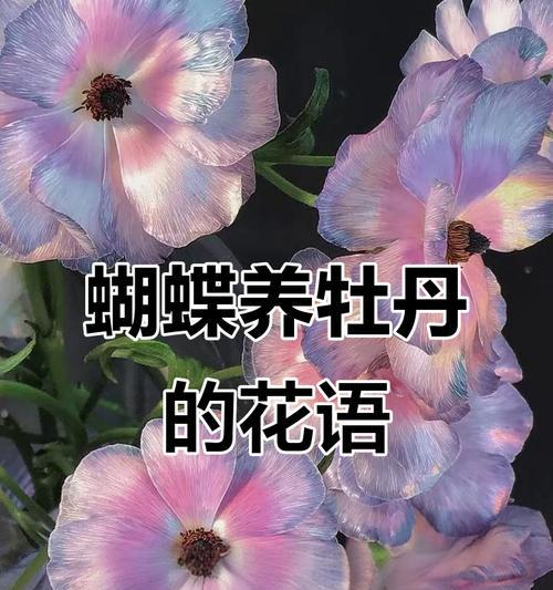 蝴蝶的花语和寓意是什么？蝴蝶代表了什么？