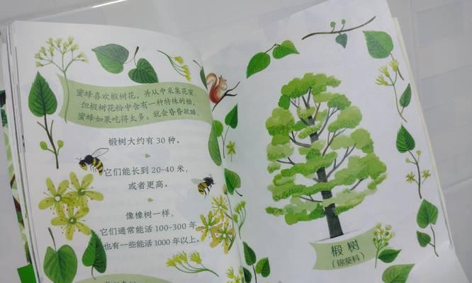 各种树的花语故事有哪些？树的花语背后有什么故事？