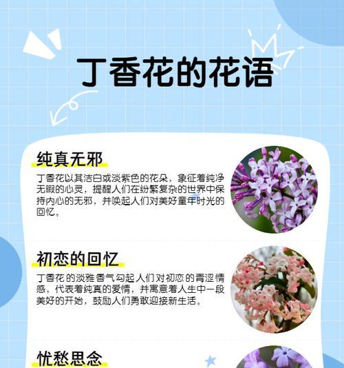 那个花的花语美好？哪种花的花语最令人向往？