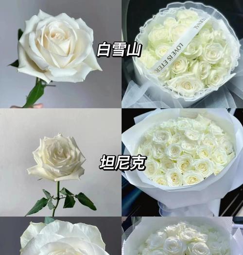 白玫瑰13支花语是什么？13朵白玫瑰代表了什么？