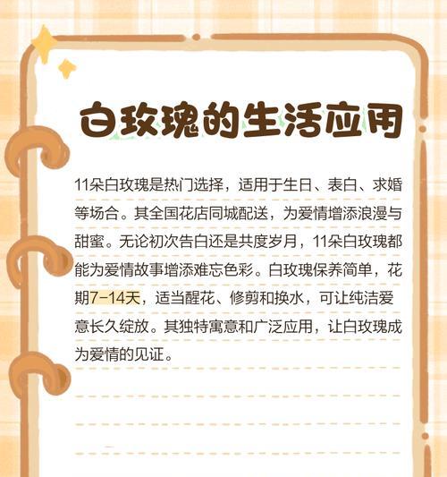 60白玫瑰代表什么？送多少朵白玫瑰最浪漫？